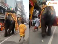 रथयात्रेत हत्ती उधळला...  आवरता आवरेना अनियंत्रित गजराज; लोकांमध्ये भीतीचे वातावरण 
