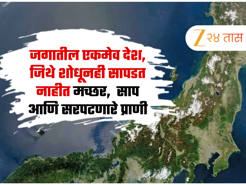 जगातील एकमेव देश, जिथे शोधूनही सापडत नाहीत मच्छर, साप आणि सरपटणारे प्राणी
