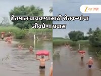 शेतमाल वाचवण्यासाठी छातीभर पाण्यातून शेतकऱ्याची कसरत; साताऱ्यातील Video पाहाच