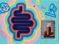 आतड्यांमध्ये अडकलेली घाण, चिकटपणा बाहेर फेकतील 5 ज्यूस, ड्रायफ्रूट्सचे पण बाप 