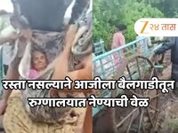 गाव वस्तीवर रस्ताच नसल्याने आजीला बैलगाडीतून रुग्णालयात नेण्याची वेळ; कोल्हापुरातील 