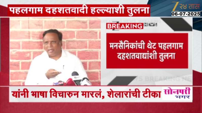 ASHISH SHELAR ON MNS REPORT