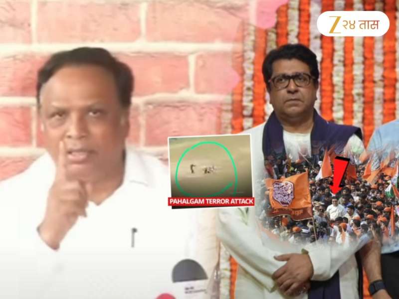 टीका करताना शेलारांचा तोल सुटला! मनसे कार्यकर्त्यांची पहलगामच्या दहशतवाद्यांशी तुलना; म्हणाले, 'त्यांनी...'