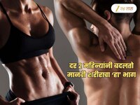 GK: दर 2 महिन्यांनी बदलतो मानवी शरीराचा ‘हा’ भाग; उत्तर वाचून आश्चर्यचकित व्हाल