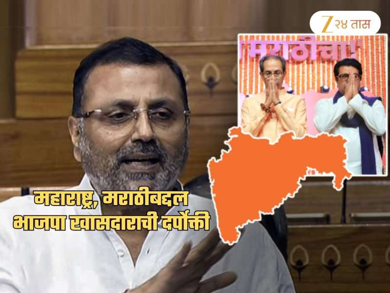 'मराठी लोक आमच्या पैशावर जगतात, तुमच्याकडे आहे काय?' BJP खासदार म्हणाला, 'तुम्हाला आपटून मारु'