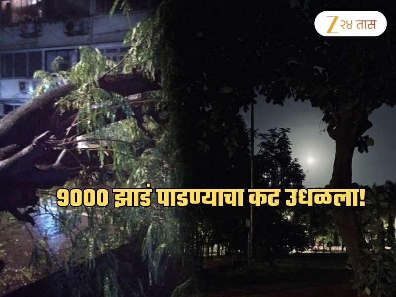 रात्री मुंबईतील 9000 झाडं पाडण्याचा कट उधळला; 'या' आमदाराचा हात असल्याचा गंभीर आरोप