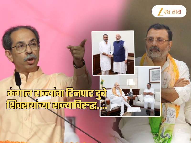 'गटार थोबाडाच्या दुबेचे बोलवते धनी मोदी व शहाच', ठाकरेंच्या सेनेचा घणाघात; म्हणाले, 'महाराष्ट्राच्या गादीवर..'