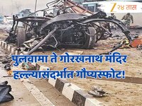 पुलवामा शक्तिशाली स्फोटासाठी अमेझॉनकडून खरेदी केलेली 'ही' वस्तू  IED आणि रॉकेट इंधन 