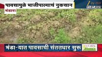 भंडाऱ्यात पावसाची संततधार सुरु; भाजीपाल्याचं नुकसान झाल्याने शेतकरी आर्थिक संकटात