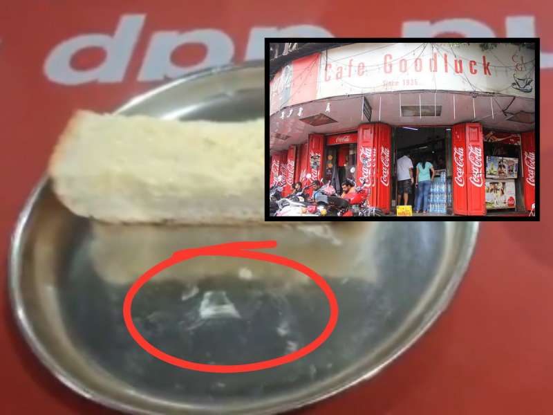 पुण्यातील प्रसिद्ध गुडलक कॅफेत बन मस्कामध्ये आढळले काचेचे तुकडे, Video Viral