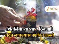 Shravan 2025: शिवलिंगाच्या 'या' 7 ठिकाणी चंदन लावल्यास नशीब उजळते