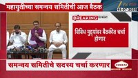 महायुतीच्या समन्वय समितीची आज बैठक; चर्चेवर सर्वांचं लक्ष 