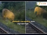 हत्तीणीची प्रसूती होईपर्यंत लोकोपायलटनं थांबवली भरधाव वेगाने धावणारी ट्रेन