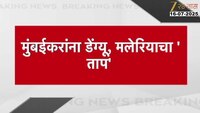'मुंबईकरांना डेंग्यू, मलेरियाचा ताप'; गेल्या वर्षीच्या तुलनेत यंदा रुग्णसंख्या वाढली