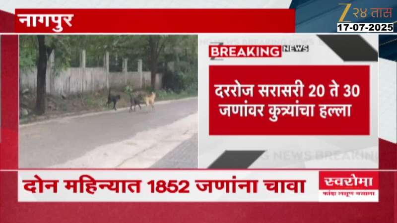 Nagpur More Than 1852 People Get Stray Dog Bite 
