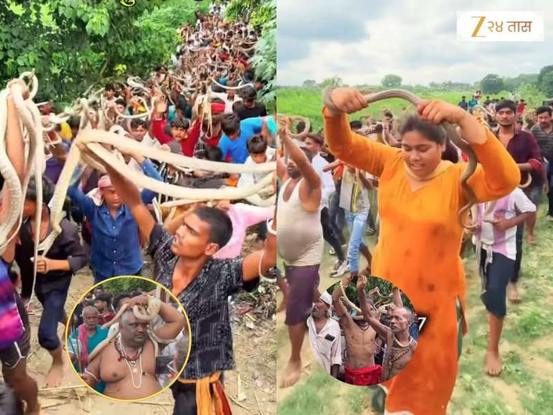 ही असली जत्रा तुम्ही कधी पाहिली नसेल! दिसेल त्याच्या गळ्यात साप; VIDEO पाहून अंगावर काटा येईल