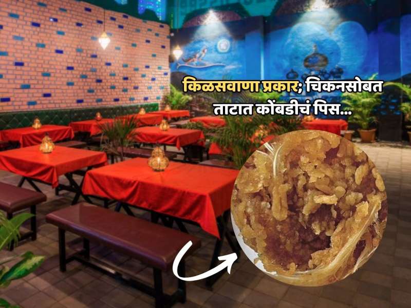 हॉटेलात चिकनसोबत, ताटात कोंबडीचं पिस; किळसवाण्या प्रकरणानंतर पुण्यातील 'त्या' हॉटेलवर प्रशासनाची नजर 