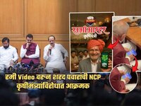 'कोकाटे बेशरम, निर्ल्लज! शिस्तप्रिय अजित पवार...'; रमी Video वरुन SP NCP आक्रमक