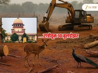 'विकास महत्त्वाचा, पण एका रात्रीत...' सरन्यायाधीश गवईंचे स्पष्टच आदेश