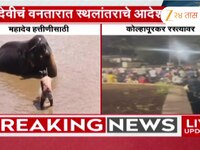 हत्तीणीचं गुजरातच्या वनतारात स्थलांतर; हत्ती बचाव कृती समितीकडून कोल्हापुरात मूकमोर्
