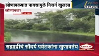 लोणावळ्यात पावसामुळे निसर्ग खुलला; पवना धरण परिसर निसर्गाने बहरला 
