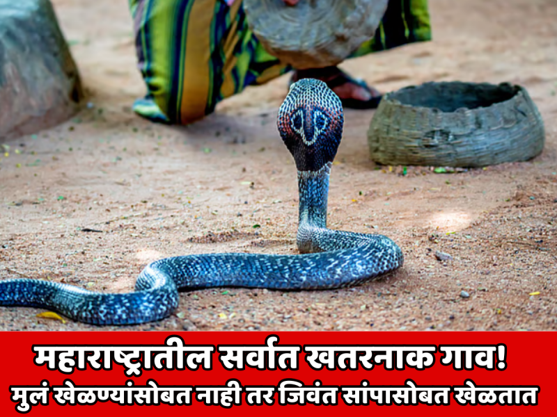 महाराष्ट्रातील सर्वात खतरनाक गाव! इथंली लहान लेकरं खेळण्यांसोबत नाही तर जिवंत सांपासोबत खेळतात