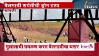 सांगलीतील बैलगाडी शर्यतीचा थरार; ड्रोनच्या मदतीने टिपलेली दृष्य