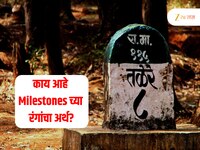 Milestones चा रंग का असतो हिरवा, पिवळा आणि काळा? काय आहे यामागचं कारण