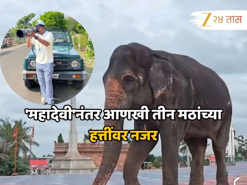 'महादेवी'नंतर आणखी तीन मठांच्या हत्तींवर नजर, अभिनेत्याने खुलासा करत व्यक्त केला संताप