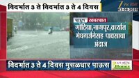 विदर्भात 3 ते 4 दिवस मुसळधार पावसाचा इशारा