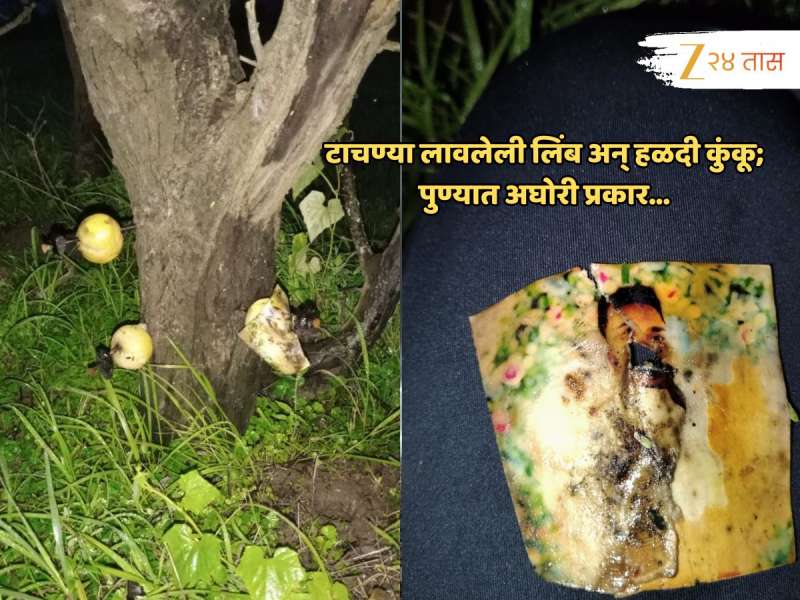 खिळे, टाचण्या लावलेले लिंबू आणि 'तो' फोटो... अघोरी प्रकारानं हादरला पुण्यातील 'हा' परिसर 