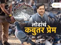 कबुतरखान्यावर ताडपत्री! पर्यायी जागेसाठी लोढांचं महापालिकेला पत्र 