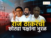 महाराष्ट्रात 'राजपर्व'? राज ठाकरे छोट्या पक्षांना एकत्र घेऊन बांधणार सत्तेची मोट?