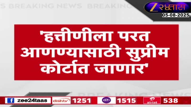 Kolhapur Hassan Mushrif For Mahadevi Elephant We Will Go To Supreme Court