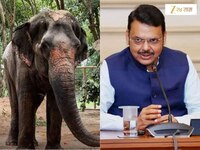 महादेवी हत्तीणीला परत आणण्यासाठी राज्य सरकारचा मोठा निर्णय, बैठकीत मुख्यमंत्र्यांनी 