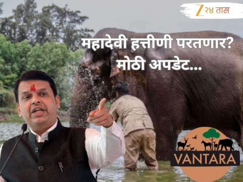 सरकारच्या याचिकेनंतर वनताराचाही मोठा निर्णय; महादेवी हत्तीणी परत नांदणी गावात येणार?