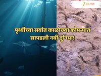 समुद्रात 31 हजार फूट खोलीवर दिसले एलियनसारखे प्राणी! पाहून शास्त्रज्ञही चक्रावले!