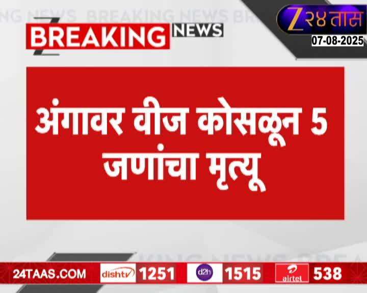 YAVATMA 12 SHEEPS DIED