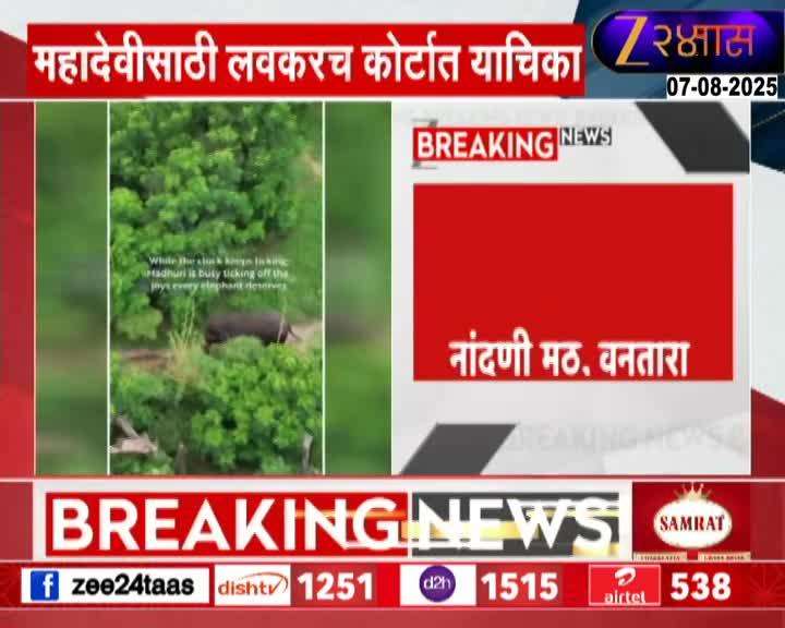 महादेवी अखेर कोल्हापुरात परतणार; महादेवीला पाठवण्यास वनतारा सकारात्मक