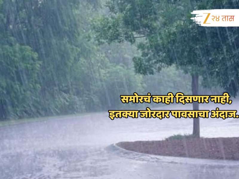 पुन्हा काळे ढग, विजा अन्... जोरदार पाऊसधारा; हवामान विभागाकडून इशारा