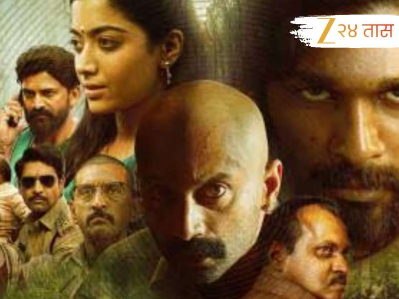 पहिलाच चित्रपट फ्लॉप, अभिनय सोडून अमेरिकेला गेला, 'पुष्पा 2' चित्रपट ठरला गेमचेंजर