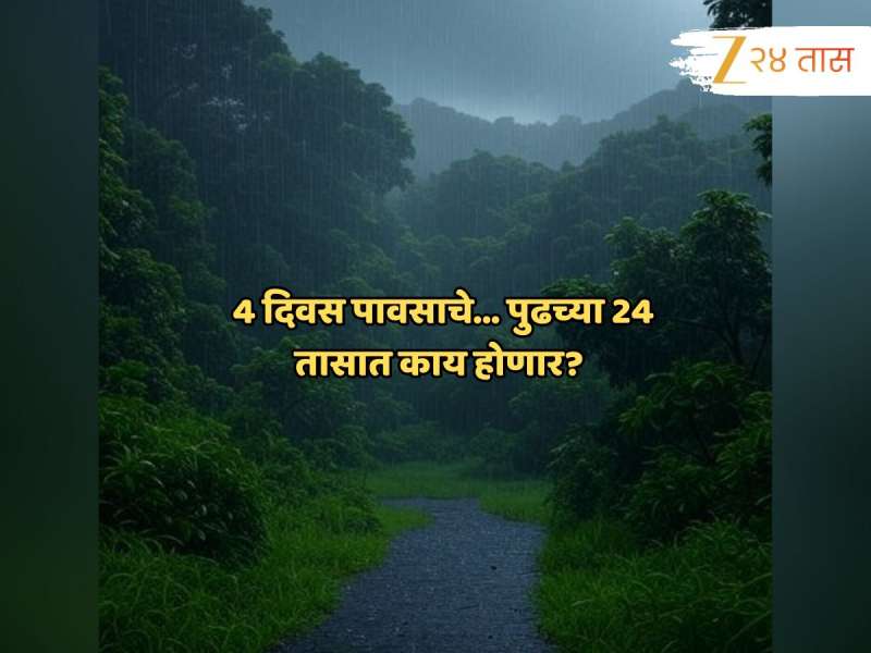 Maharashtra Weather News : पावसाचं दमदार पुनरागमन; विजांच्या कडकडाटासह नारळी पौर्णिमा गाजवणार...
