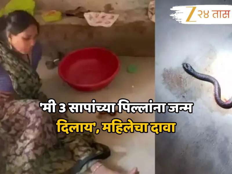 'मी 3 सापांच्या पिल्लांना जन्म दिलाय', महिलेचा धक्कादायक दावा, डॉक्टरांच्या रिपोर्टमधून धक्कादायक कारण समोर