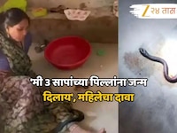 'मी 3 सापांच्या पिल्लांना जन्म दिलाय', महिलेचा धक्कादायक दावा, डॉक्टरांच्या रिपोर्टम