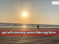 मुंबई आणि ठाण्याजवळ असलेला सिक्रेट समुद्र किनारा; शांत, निवांत, एकांत, आणि...