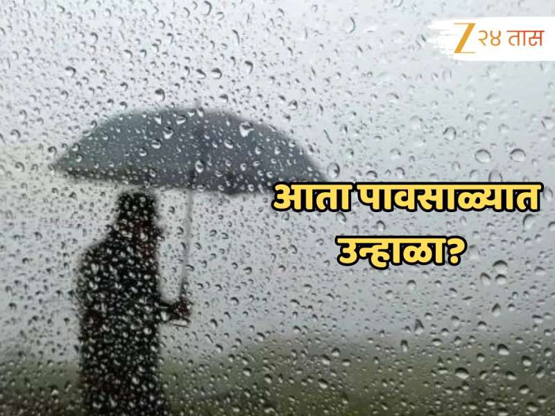 श्रावणसरींनी फोडला घाम... राज्यात ‘हे’ जिल्हे वगळता उर्वरित भागात पावसाळी उन्हाळा...