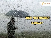 श्रावणसरींनी फोडला घाम... राज्यात ‘हे’ जिल्हे वगळता उर्वरित भागात पावसाळी उन्हाळा..