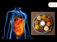 पोटासाठी कोणते मसाले सर्वोत्तम? डॉक्टरांनी सांगितले 10 Spices मुळे गट हेल्थ चांगली र