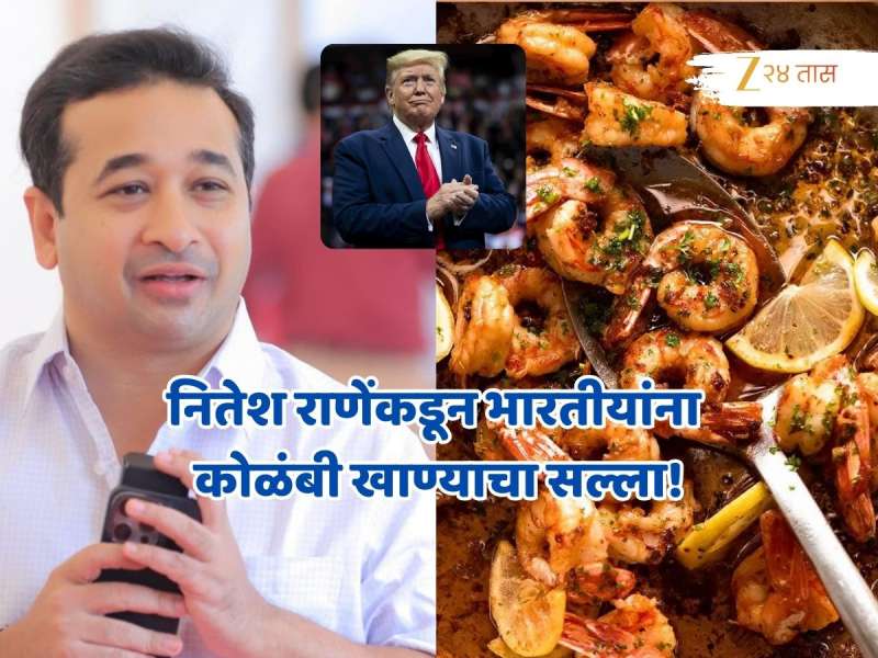 'कोळंबी खाऊन करता येईल ट्रम्प यांच्या Tarrif War वर वार' नितेश राणेंनी सांगितला प्लान!