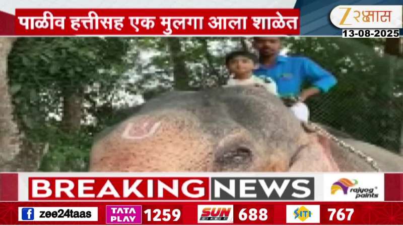 Kerala Child Got Elephant In School On Pet Day In School